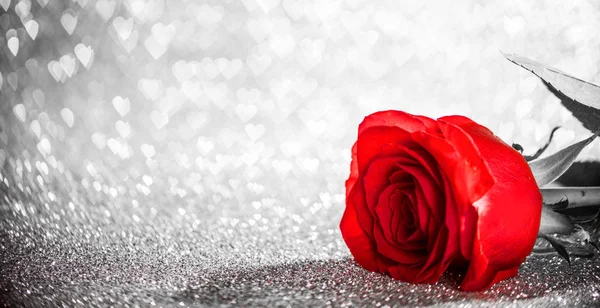 Belle Rose Rouge Sur Fond Paillettes Bokeh Forme Coeur — Photo