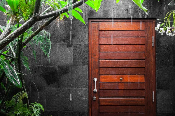 View at door through tropical rain — Stock Photo, Image