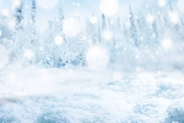 モミの木の雪に覆われた森の風景 — ストック写真