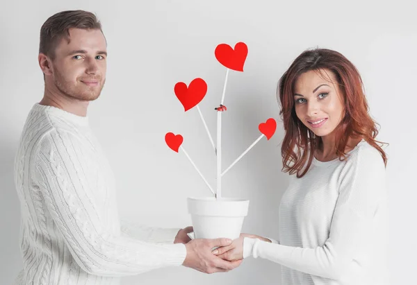 Några Människor Håller Ihop Gryta Med Kärleksträd Med Röda Hjärtan — Stockfoto