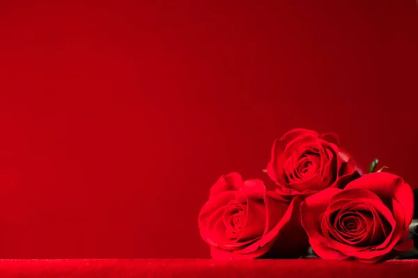 Three Beautiful Red Roses Red Background Copy Space — Stock Photo, Image