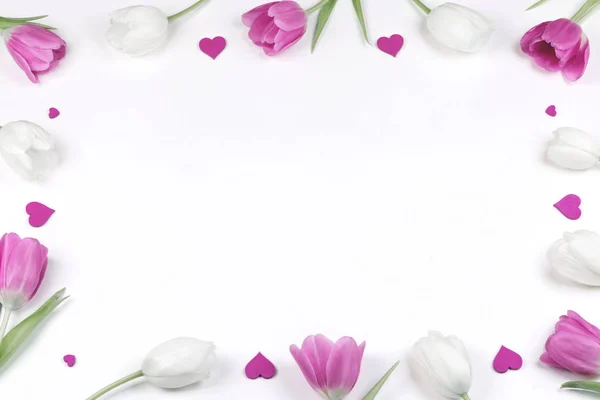 Fleurs Tulipes Roses Blanches Coeurs Sur Fond Blanc Bordure Cadre — Photo