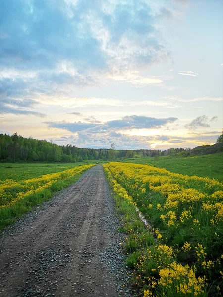 Carretera terrestre rural —  Fotos de Stock
