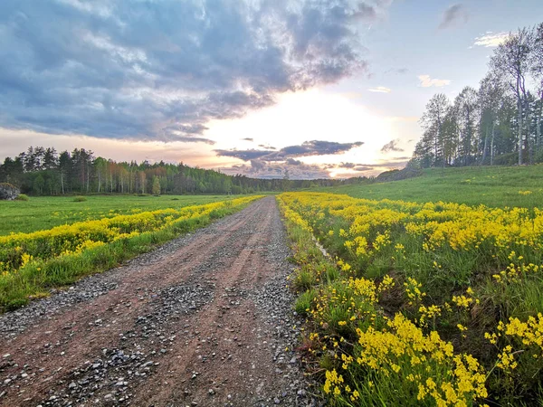 Landelijke grond weg — Stockfoto