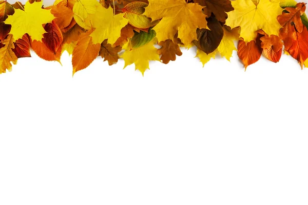 가을 잎 틀 — 스톡 사진