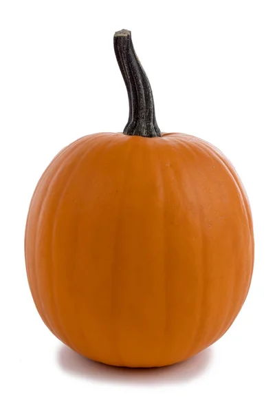 Una calabaza naranja — Foto de Stock