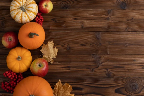 Récolte d'automne sur table en bois — Photo