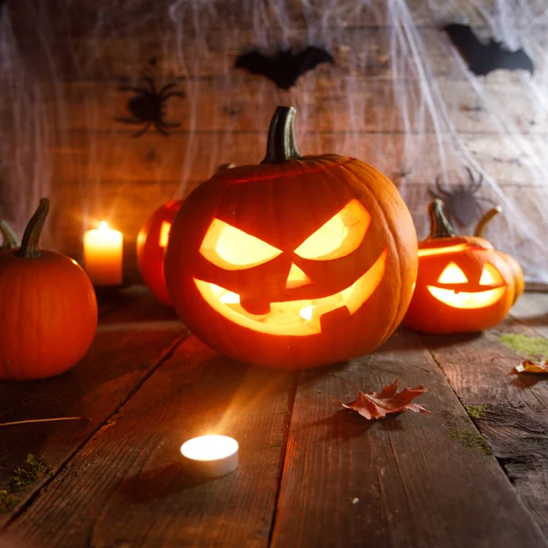 Halloween pumpkins and spiders — Stock Photo, Image