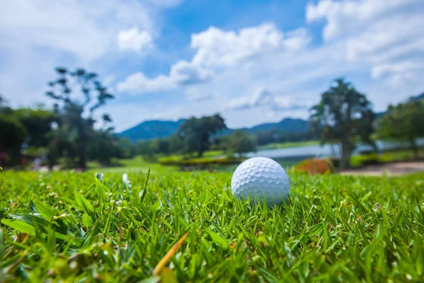 Pelota de golf en curso — Foto de Stock