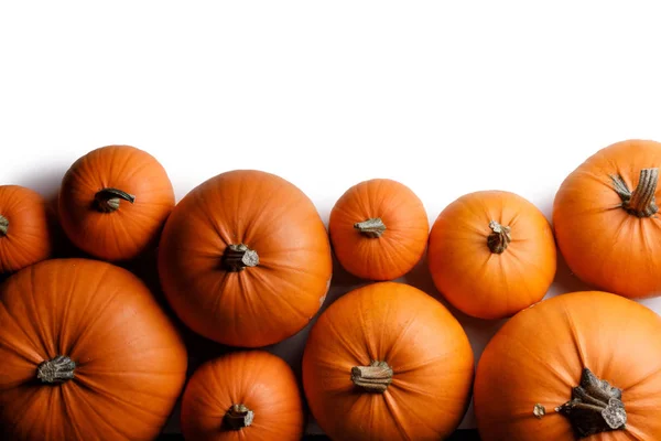 Muitas abóboras cor de laranja — Fotografia de Stock