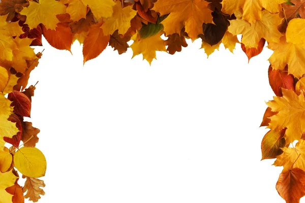 Foglie d'autunno telaio — Foto Stock