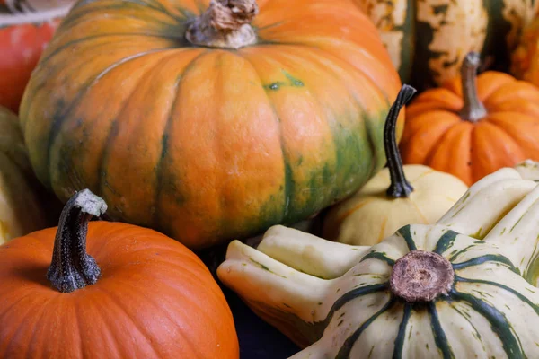 Assortiment of pumpkins background — Stock Photo, Image