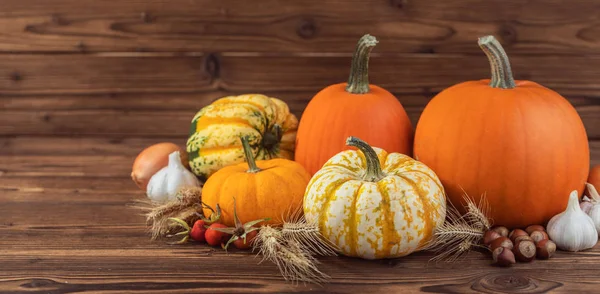 Herfst oogst op houten tafel — Stockfoto