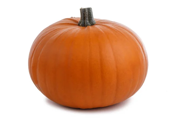 Calabaza aislada en blanco — Foto de Stock