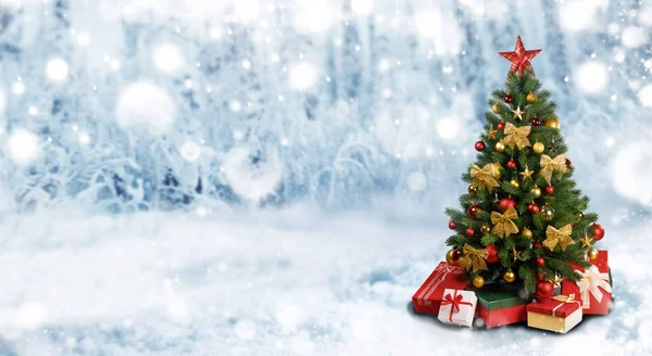 Kerstboom in de winter — Stockfoto