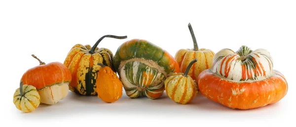 Surtido de calabazas en blanco — Foto de Stock