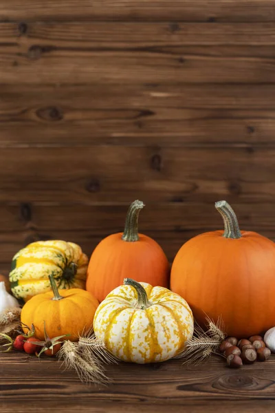 Otoño cosecha naturaleza muerta — Foto de Stock