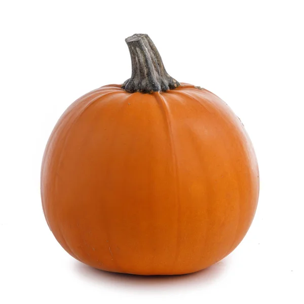 Calabaza aislada en blanco — Foto de Stock