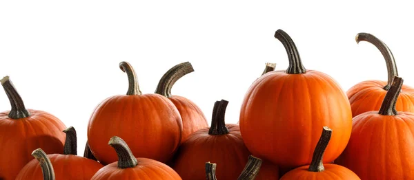 Birçok Pumpkins arka plan — Stok fotoğraf