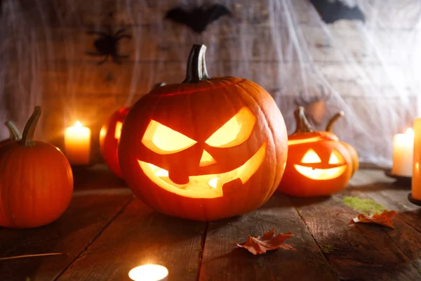 Halloween pumpa och fladdermöss — Stockfoto