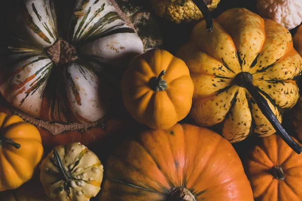 Calabazas sobre fondo de madera —  Fotos de Stock