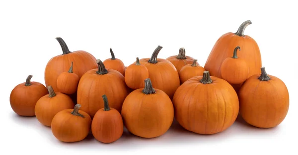 Heap of orange pumpkins — Stock Photo, Image