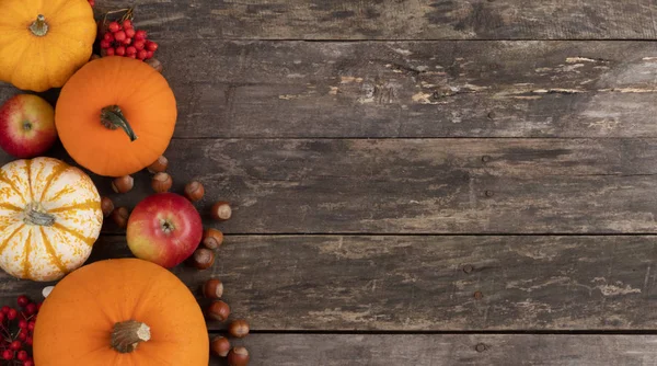 Autumn harvest on wooden table — Stock Photo, Image