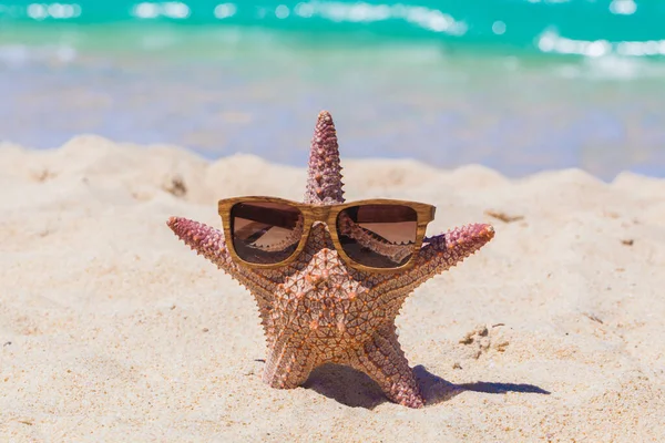 Starfish Óculos Sol Bela Praia Areia Férias Verão Tropicais — Fotografia de Stock