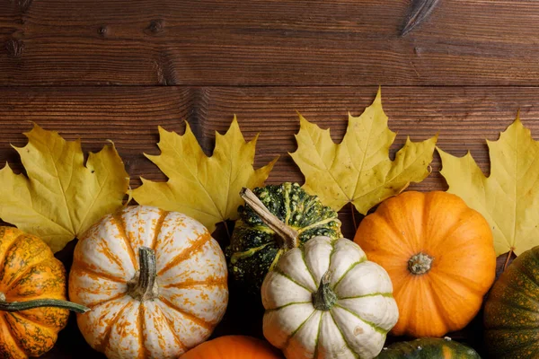 许多五彩缤纷的南瓜和枫叶框架都有木制背景 秋天的收获 万圣节或感恩节的概念 — 图库照片