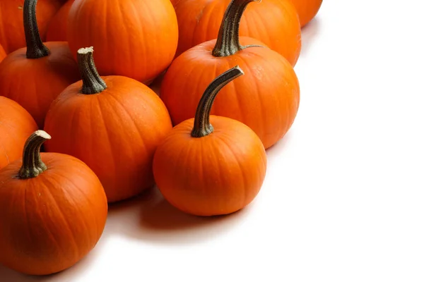 Heap Van Vele Oranje Pompoenen Witte Achtergrond Halloween Concept Kopieer — Stockfoto