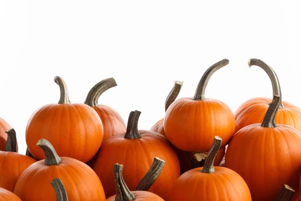 Heap Van Vele Oranje Pompoenen Witte Achtergrond Halloween Concept Kopieer — Stockfoto