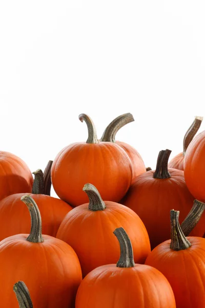 Heap Många Orange Pumpor Vit Bakgrund Halloween Koncept Kopiera Utrymme — Stockfoto