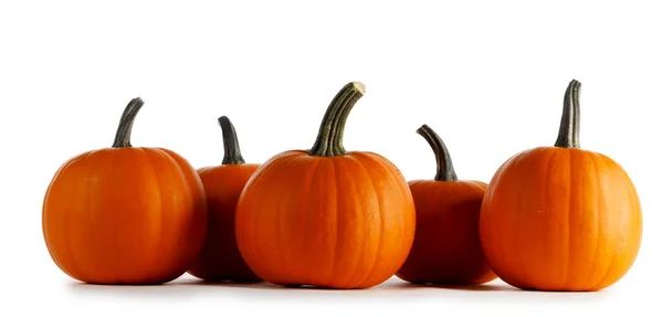 Rad Orange Pumpor Rad Isolerad Vit Bakgrund Halloween Koncept — Stockfoto