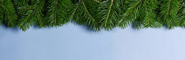 Karácsonyi Fenyő Határ Hírnév Kék Háttér Másolási Hely Szöveg — Stock Fotó