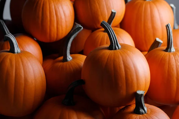 Viele Kürbissammlungen Auf Dem Herbstmarkt — Stockfoto