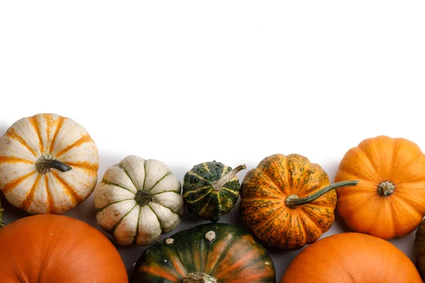 Veel Verschillende Pompoenen Grens Geïsoleerd Witte Achtergrond Halloween Thanksgiving Dag — Stockfoto