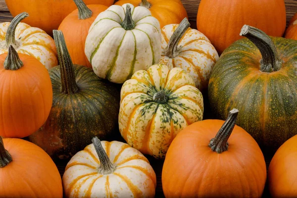Sortiment Podzimu Sklizené Dýně Haldě Pozadí Halloween Dovolená Koncept — Stock fotografie
