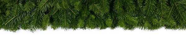 Christmas Fir Tree Branch Border Fame Isolated White Background Copy — Stock Photo, Image