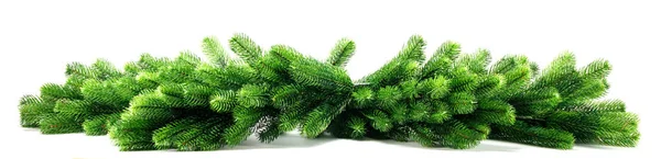 Natural Fir Christmas Tree Branches Isolated White Background Stripe Border — Stock Photo, Image