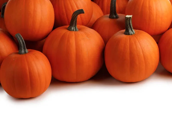 Kupa Wielu Pomarańczowych Dyń Izolowanych Białym Tle Koncepcja Halloween — Zdjęcie stockowe