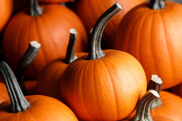 Veel Pompoenen Achtergrond Herfst Markt Herfst Vakantie Thanksgiving Halloween — Stockfoto