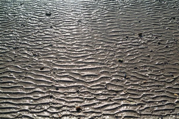Regular shaped on the beach sand — Stock Photo, Image