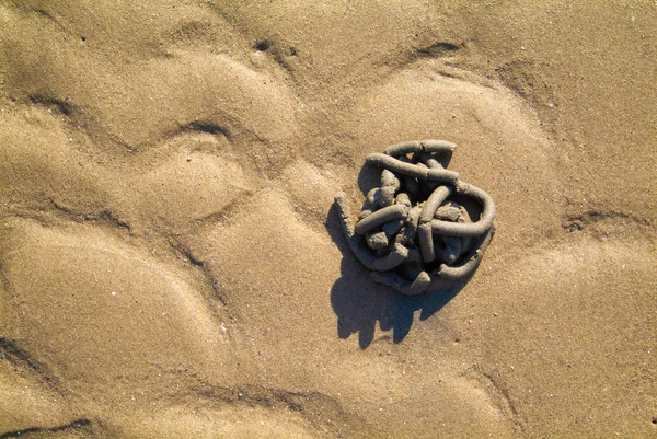 Geometric tangle on the beach sand — Stock Photo, Image
