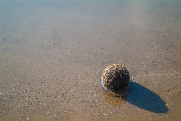 Boule de forme géométrique sur le sable de la plage — Photo