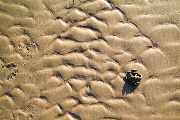 Geometric tangle on the beach sand — Stock Photo, Image