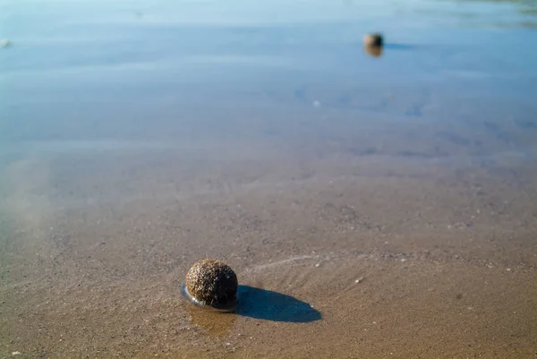 Bola de forma geométrica en la arena de playa Fotos de stock libres de derechos