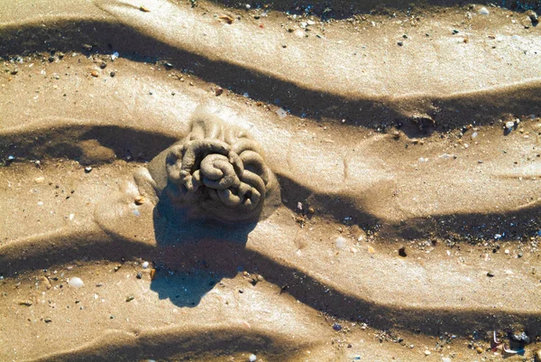 Enredo geométrico en la arena de la playa Imagen de stock
