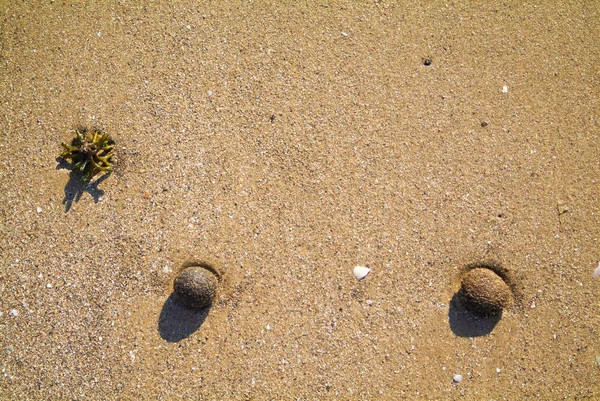 Bola de forma geométrica en la arena de playa Imágenes de stock libres de derechos
