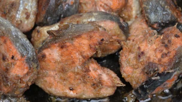 Close-up view of cooking Pacific red Salmon fish in flour frying in iron pan with oil. Grilled Sockeye Salmon - popular Asian dish — Stock Footage Close-up view of cooking Pacific red Salmon fish in flour frying in iron pan with oil. Grilled Sockeye Salmon - popular Asian dish Royalty Free Stock Footage