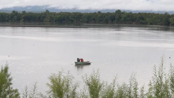 Fishermen catch red salmon fish on fishing seine from motor boat in Kamchatka River at license area for catching Pacific salmon fish — Stock Footage Fishermen catch red salmon fish on fishing seine from motor boat in Kamchatka River at license area for catching Pacific salmon fish Stock Footage